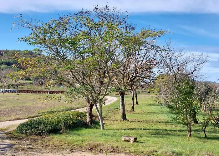 度假居 Charmante Maison 6 En Dordogne Pour Escapade Paisible - Fr-1-828-5